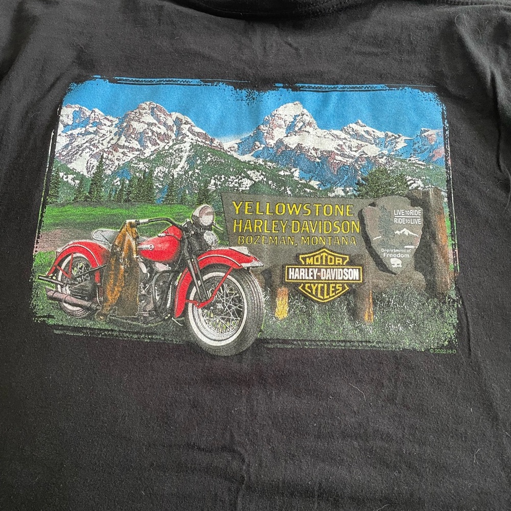Harley-Davidson Black Tee with Red, White & Blue '1' Logo - Picture 2 of 2